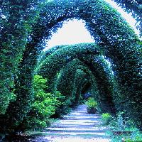 Avatar of user - Karlos