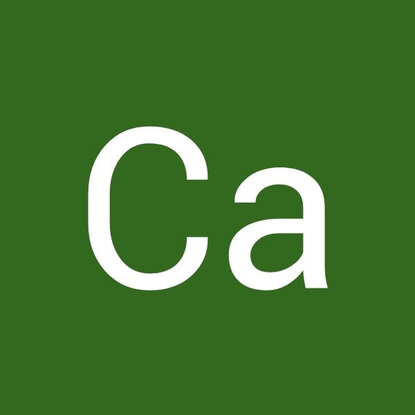 Avatar of user - Ca Long