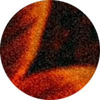 Avatar of user - Mục Tần