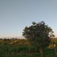 Avatar of user - Hoàng Nguyễn