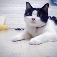 Avatar of user - Huỳnh Linh