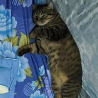 Avatar of user - Minh Tuấn