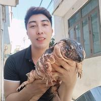 Avatar of user - Chung Nguyễn Văn