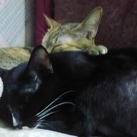 Avatar of user - Mỹ Phượng 15 Nguyễn Thị