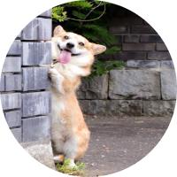 Avatar of user - Trang