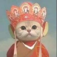 Avatar of user - HẢi