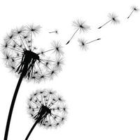 Avatar of user - Phung Bender