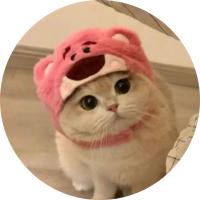 Avatar of user - Nguyen Thanh Truc