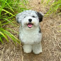 Avatar of user - Thanh Nha Nguyen
