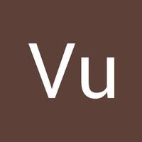 Avatar of user - Vu Vi
