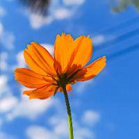 Avatar of user - Tuấn