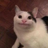 Avatar of user - Blyefish