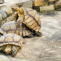 Avatar of user - Vương Bùi