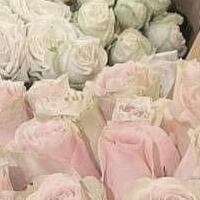 Avatar of user - Qua Buon