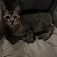 Avatar of user - Mmwcnm