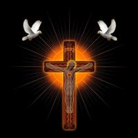 Avatar of user - Bao Nguyen