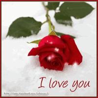 Avatar of user - Janet Ho