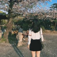 Avatar of user - Hai Phuong