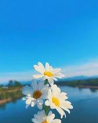 Thumbnail tải xuống (2).jfif