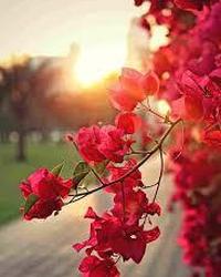 Thumbnail tải xuống (6).jfif