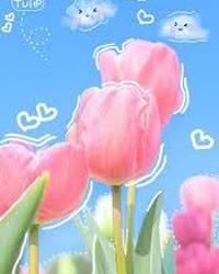 Thumbnail tải xuống (3).jfif