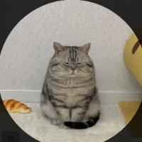 Avatar of user - Huyền