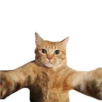 Avatar of user - Tan 1 Cu