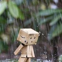 Avatar of user - Phuc Phan