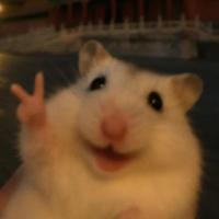 Avatar of user - Minh Luân