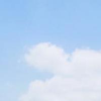 Avatar of user - Bao Tuan