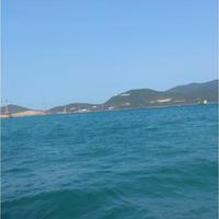 Avatar of user - Dien Vu