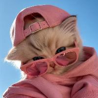 Avatar of user - P T T