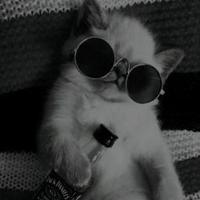 Avatar of user - Longg