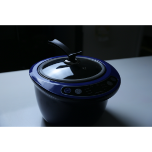 Máy làm tỏi đen đa năng INOXPRAN INP6501