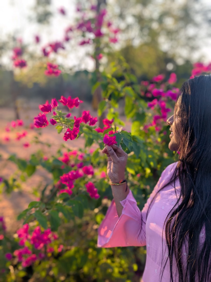 Escape to Nature: Discover the Greenery and Serenity of Nagaravan Park, Nellore