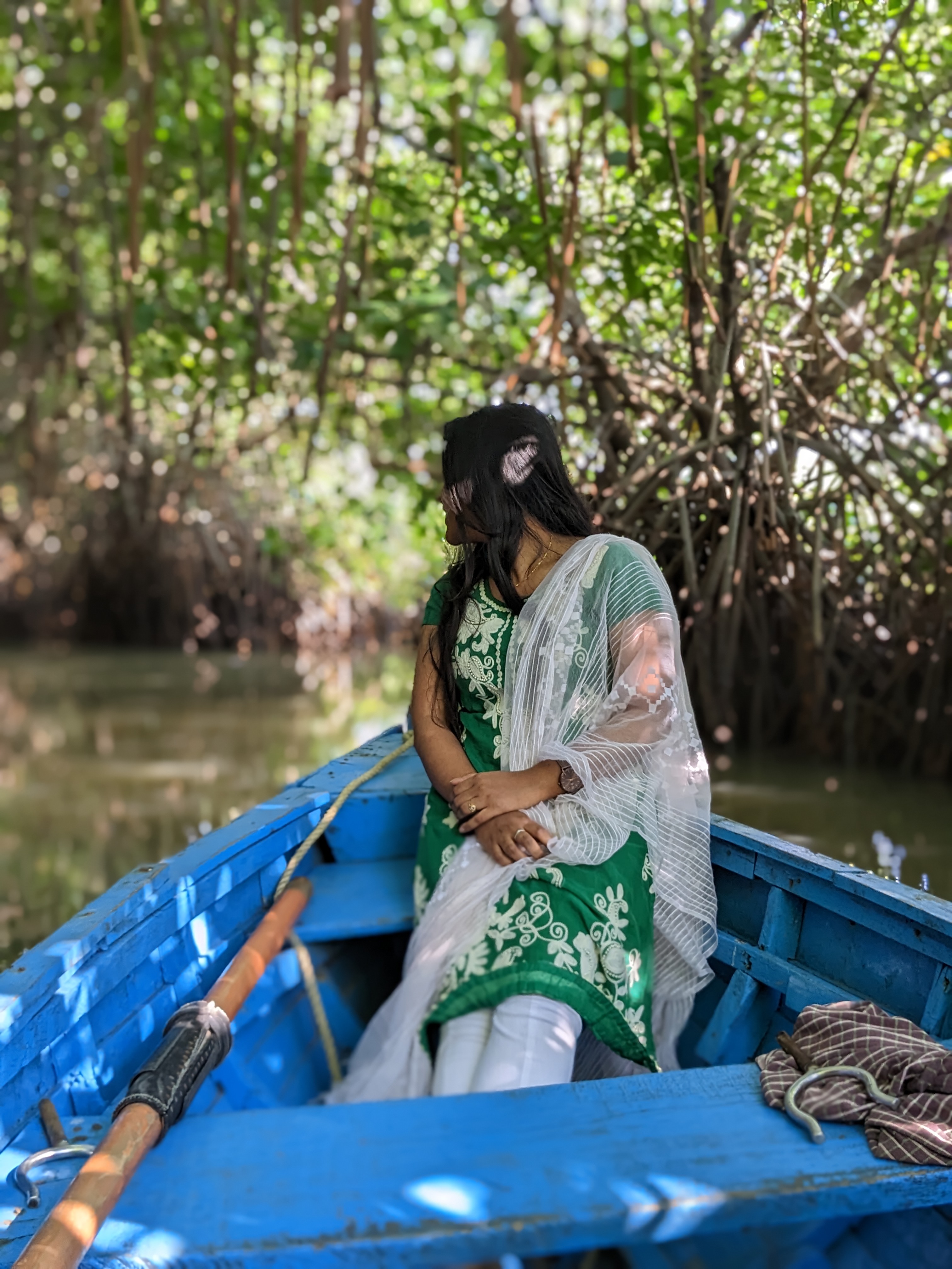 Pitchavaram Mangrove Forest