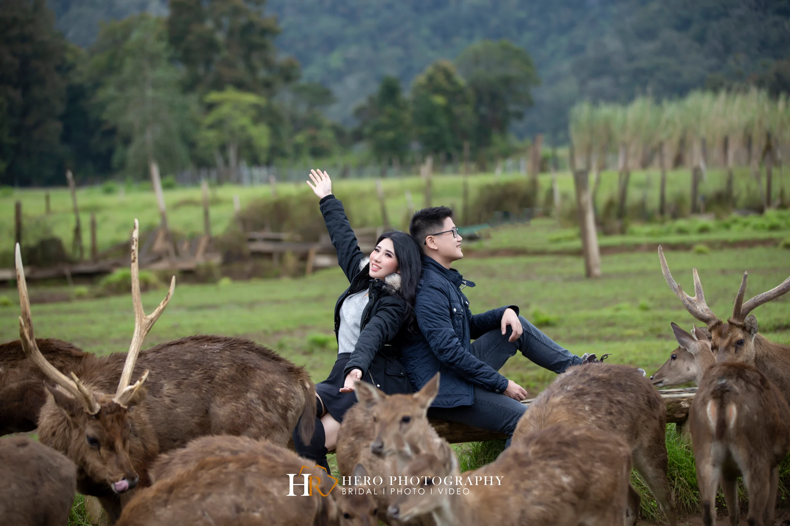 TEBING KOJA