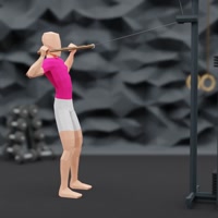 Image of Facepulls