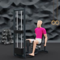 Image of Adductors