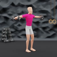 Image of Lateral Raises