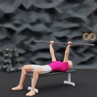 Image of Bench Press