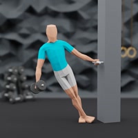 Image of Lean Away Lateral Raises