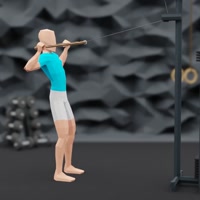 Image of Facepulls
