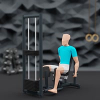 Image of Adductors
