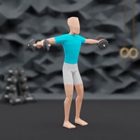 Image of Lateral Raises
