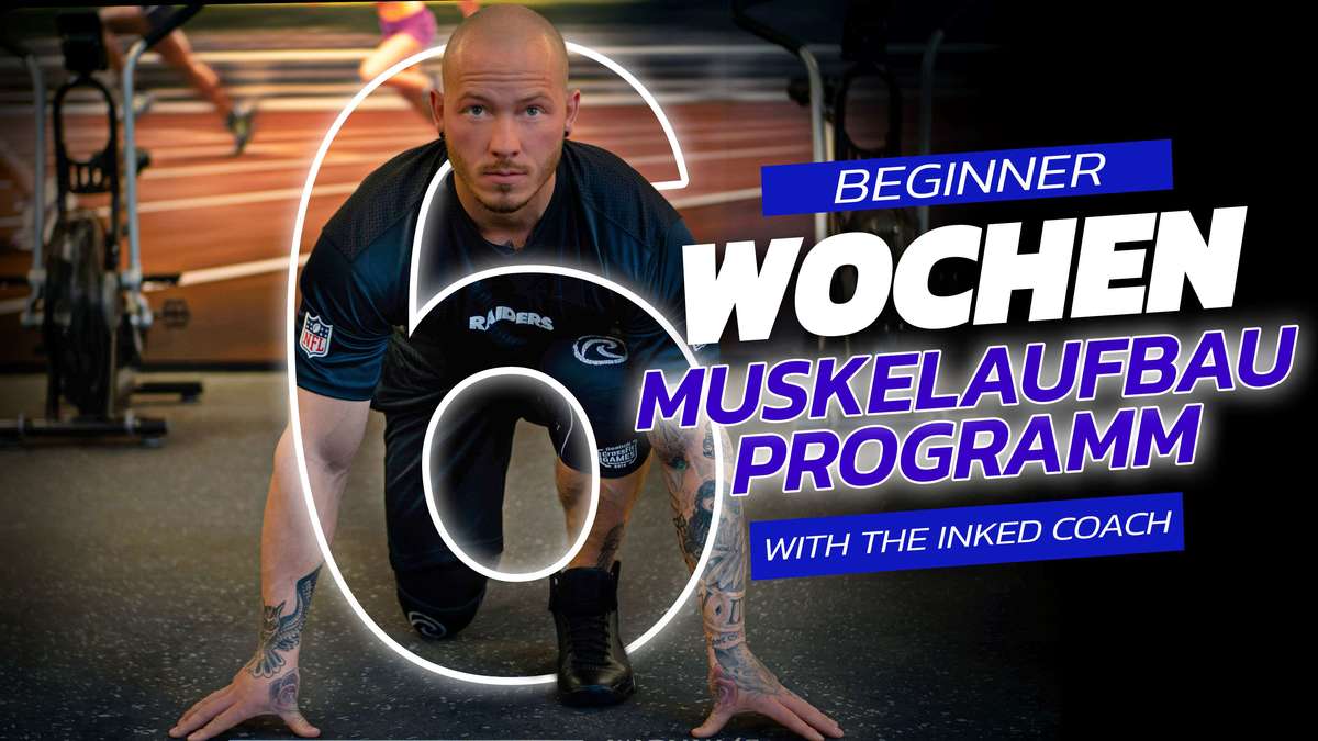 6 Wochen Muskelaufbau Programm für Beginner 
