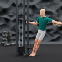 Image of Lean Away Lateral Raises