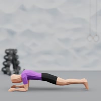 Image of Plank