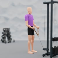 Image of hammer curls