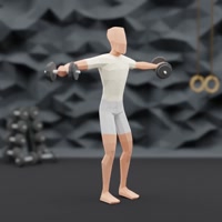 Image of Lateral Raises